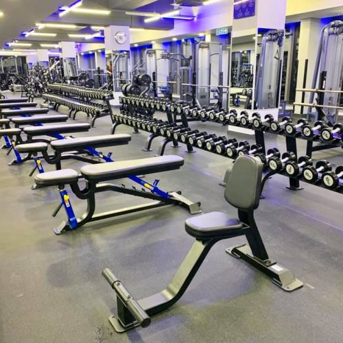 78874838_10159063482509307_7124186966840573952_n_10159063482499307