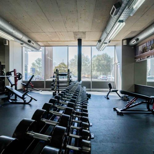 Benoni Lakefield downscale (4)