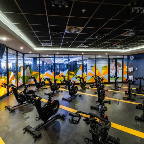 Planet Fitness - greenstone (19)