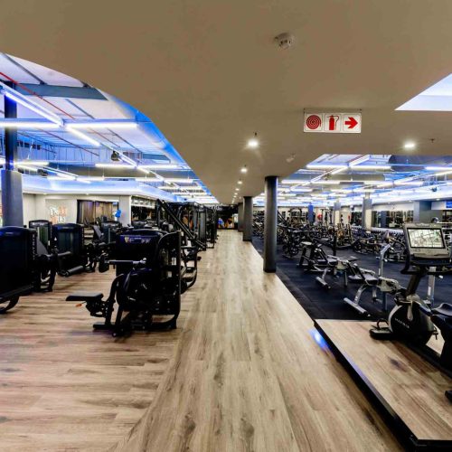 Planet Fitness - greenstone (7)