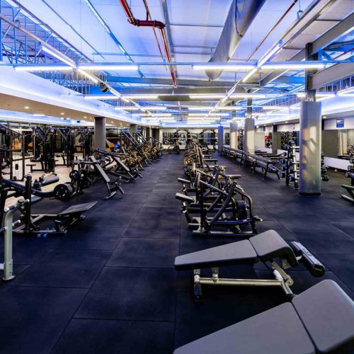 Planet Fitness - greenstone (8)