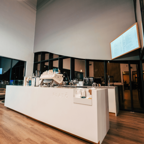 Untitled design - 2025-07-29T104000.087