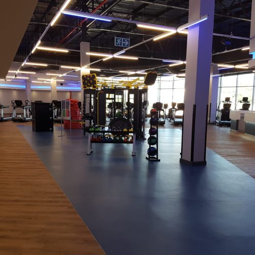 planet fitness-midlands (2)